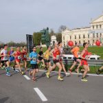 Dogi’s Half Marathon