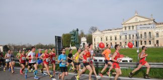 Dogi’s Half Marathon