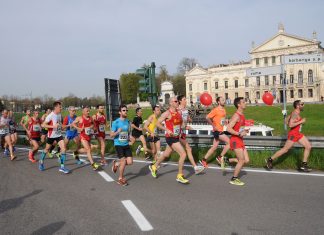 Dogi’s Half Marathon