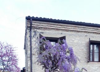 primavera ad Arquà Petrarca