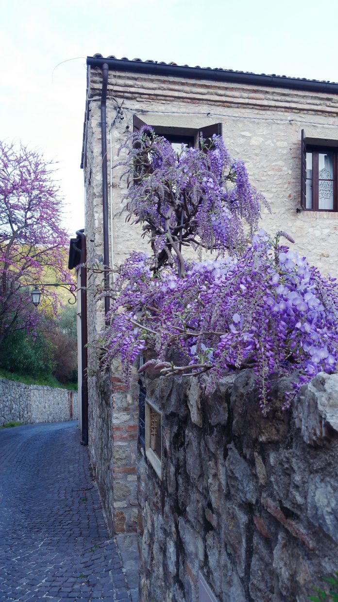 primavera ad Arquà Petrarca