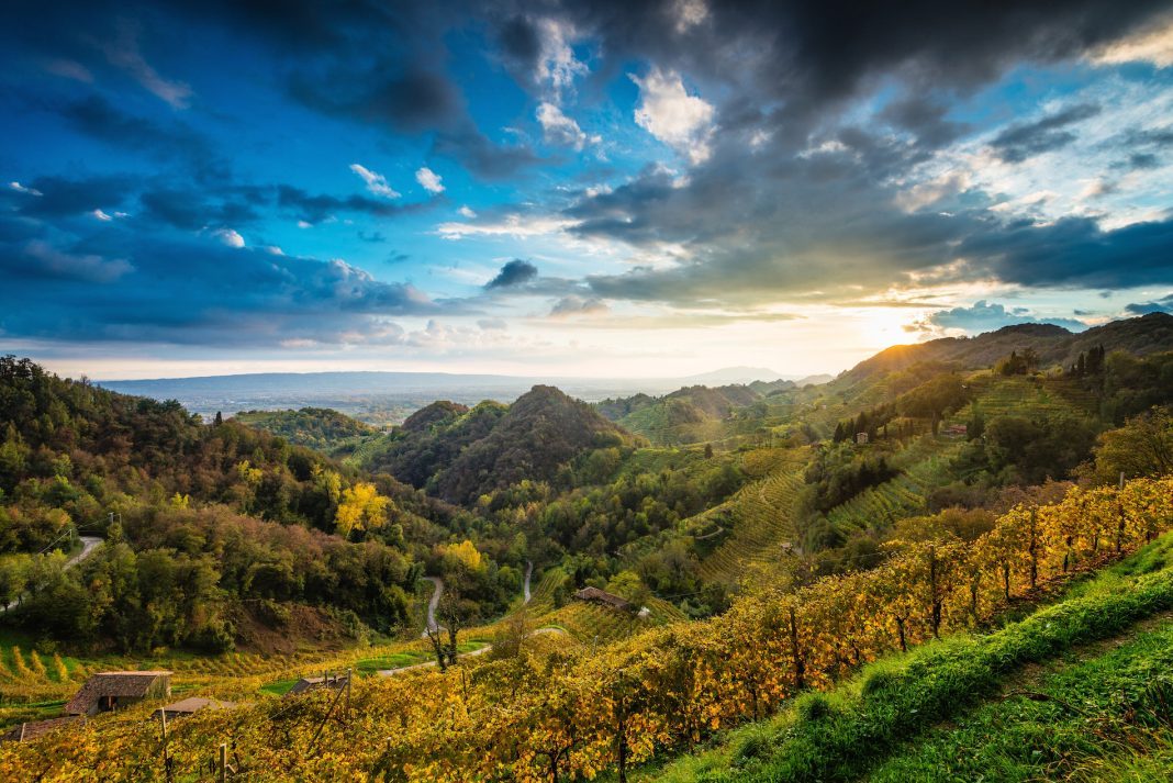 Colline di Conegliano Valdobbiadene