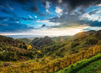 Colline di Conegliano Valdobbiadene