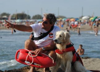 cani eroi show 2017 trainer sgaialand magazine veneto venezia pets