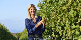 iris vigneti sgaialand magazine veneto isabella spagnolo vino alcool free spumante bella