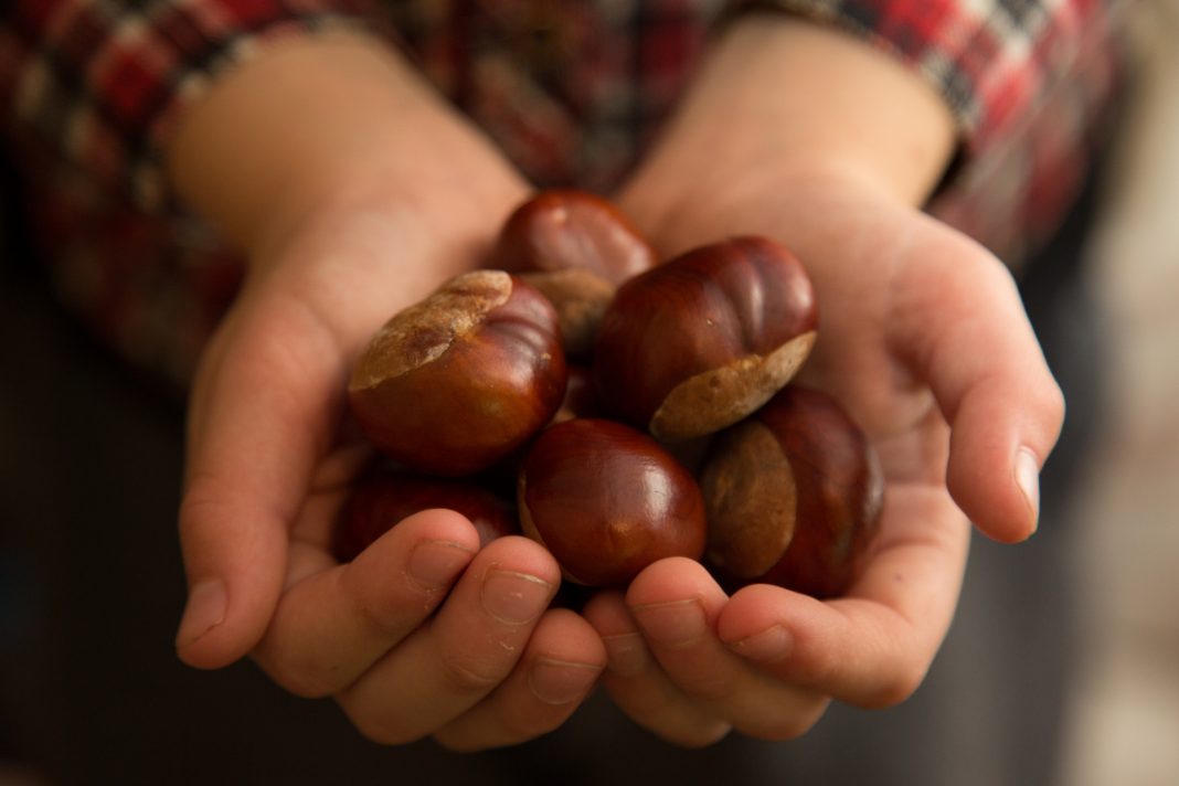 san zeno di montagna castagne bardolino ristoranti monte baldo formaggi magazine veneto verona lago di garda food