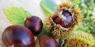 marrone di combai vellutata di castagne in cucina con lele elonora garzia sgaialand magazine food veneto triveneto