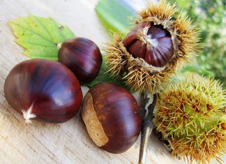 marrone di combai vellutata di castagne in cucina con lele elonora garzia sgaialand magazine food veneto triveneto