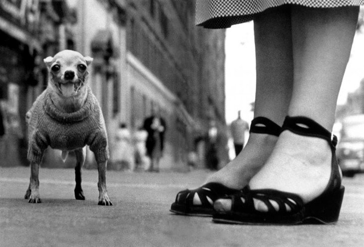 elliott erwitt