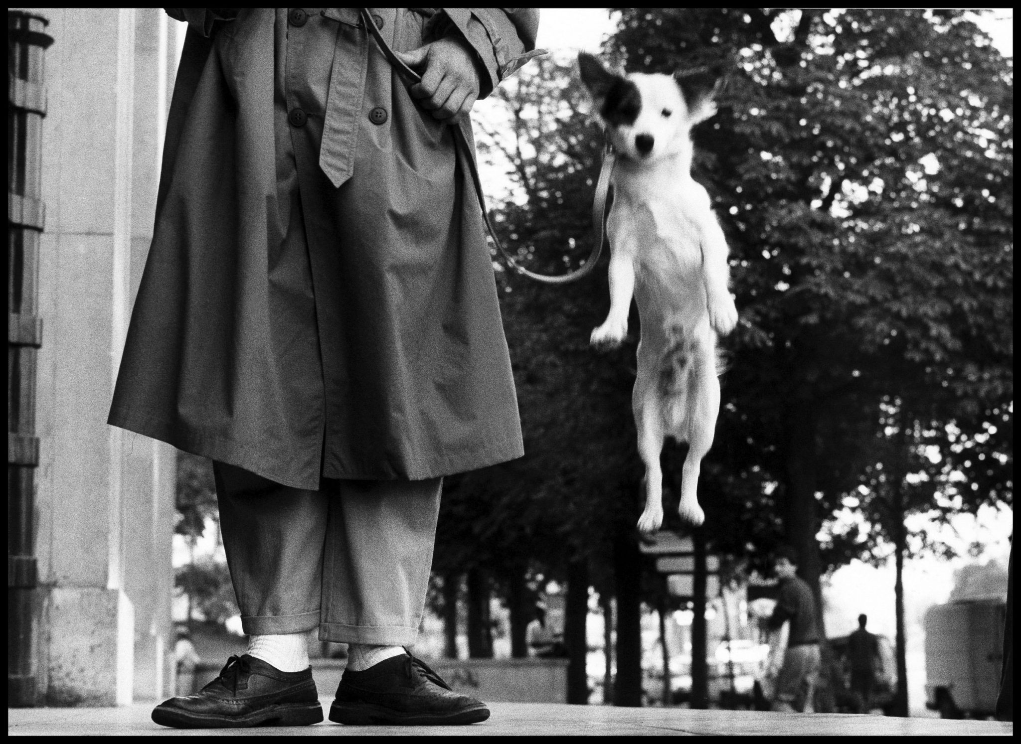 elliott erwitt