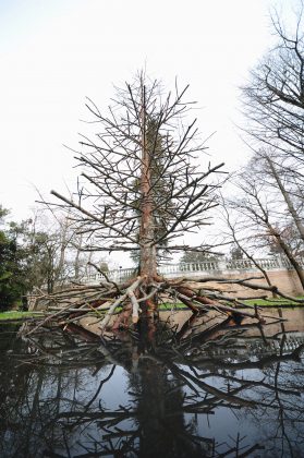 albero degli alberi