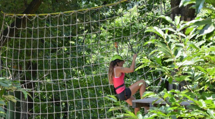 parco avventura le fiorine